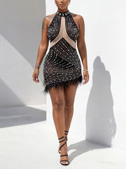 Sexy Mesh Sleeveless Rhinestones Feather Mini Dress