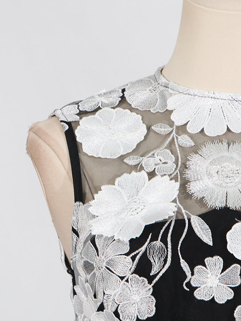 Elegant Embroidery Applique Mesh Dress