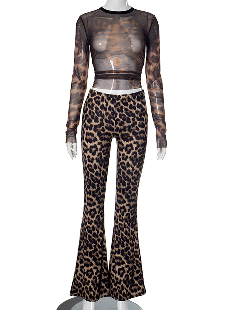 Leopard Print See Through Mesh Trousers Club Sets