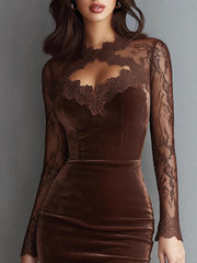 Lace Sleeve Fitted Velvet Midi Dress