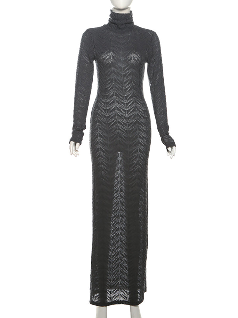 See Through Turtleneck Bodycon Maxi Dress