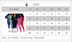 Women's Solid Zip Jacket and Jogger Pants Set