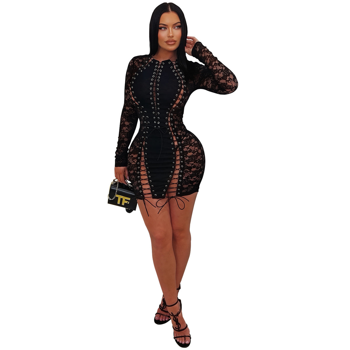 Sheer Lace Bodycon Mini Dress