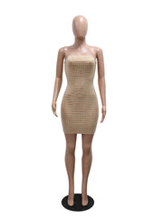 Sparkly Rhinestone Embellished Bodycon Mini Dress