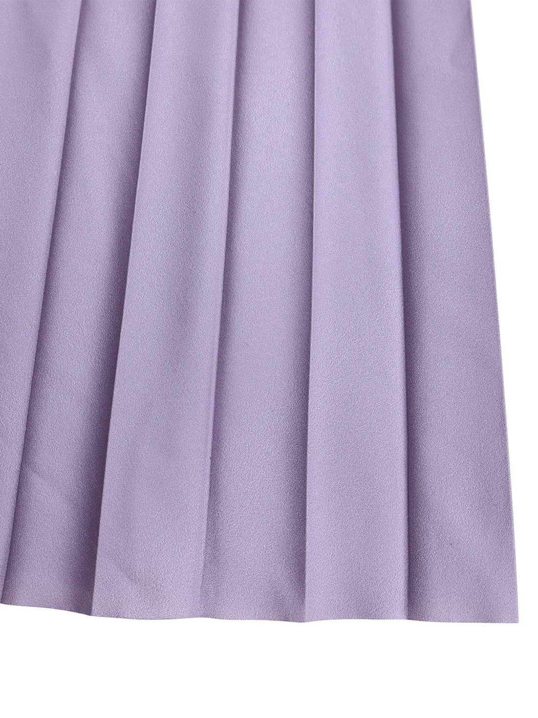 Elegant Batwing Sleeve Tops Pleated Skirt Two Piece