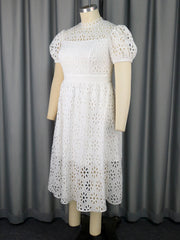 Fashion Lace Bubble Sleeve Dress