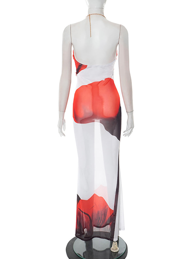 Sexy Floral Print Mesh Halter Backless Maxi Dress