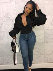 Balloon Sleeve Fitted Blouse