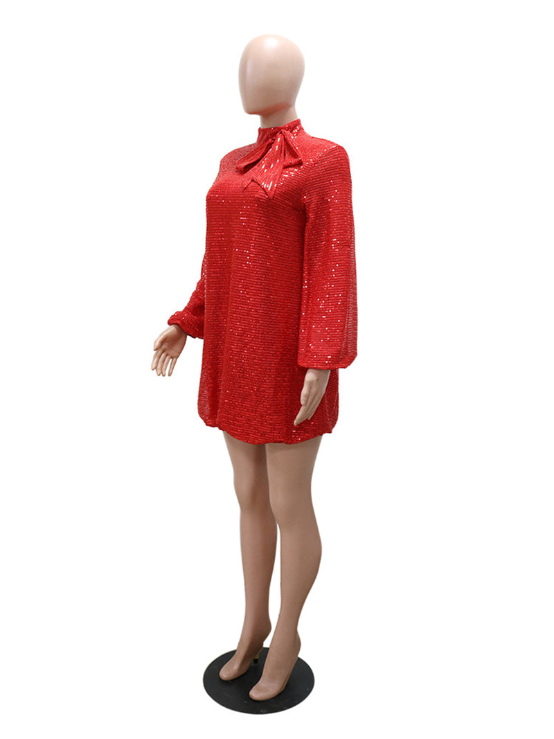 Plus Size Loose Sequin Bubble Dress