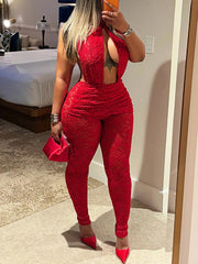 Sexy Halterneck Hollow Lace Patchwork See Through Jumpsuit