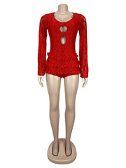 Sexy Lace Hollow Out U Neck Skinny Rompers