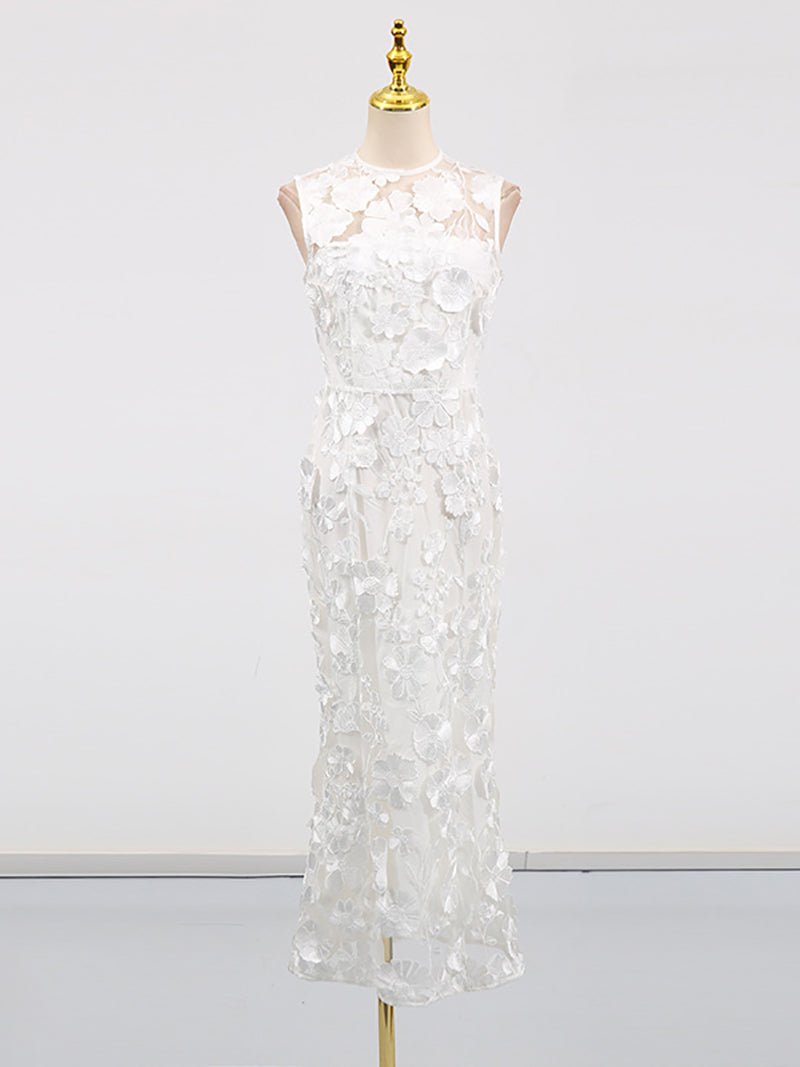 Elegant Embroidery Applique Mesh Dress