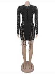 Sheer Lace Bodycon Mini Dress