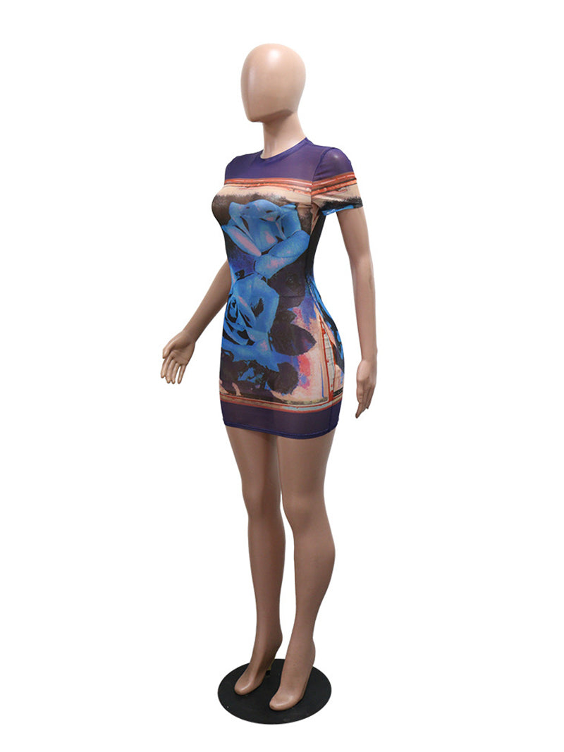 Sexy Print Stretch Sheer Mesh Mini Dress