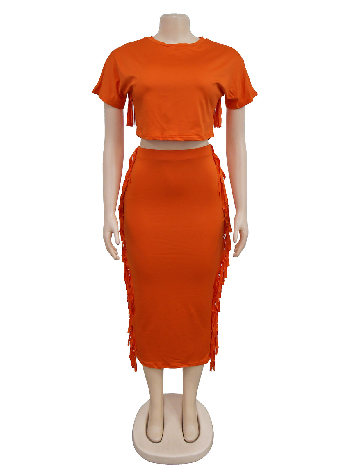 Round Neck Crop Top Tassels Skirts Casual Set