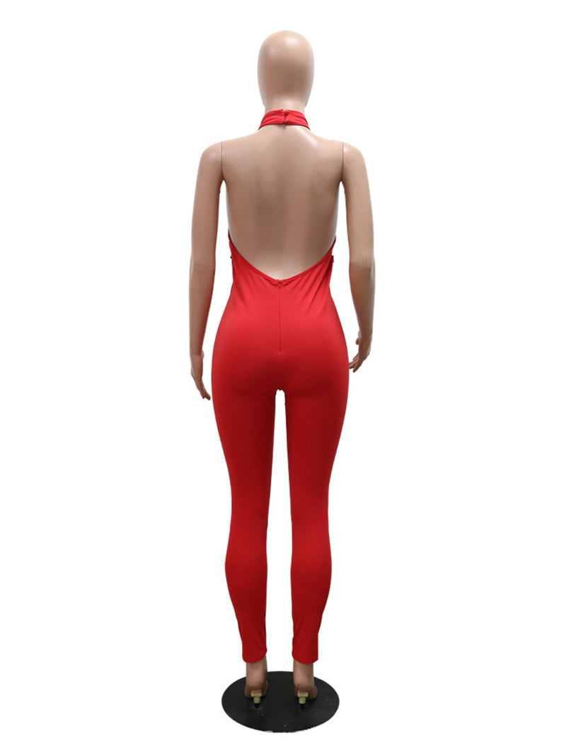 See through Embroidered Backless Slim Jumpsuit