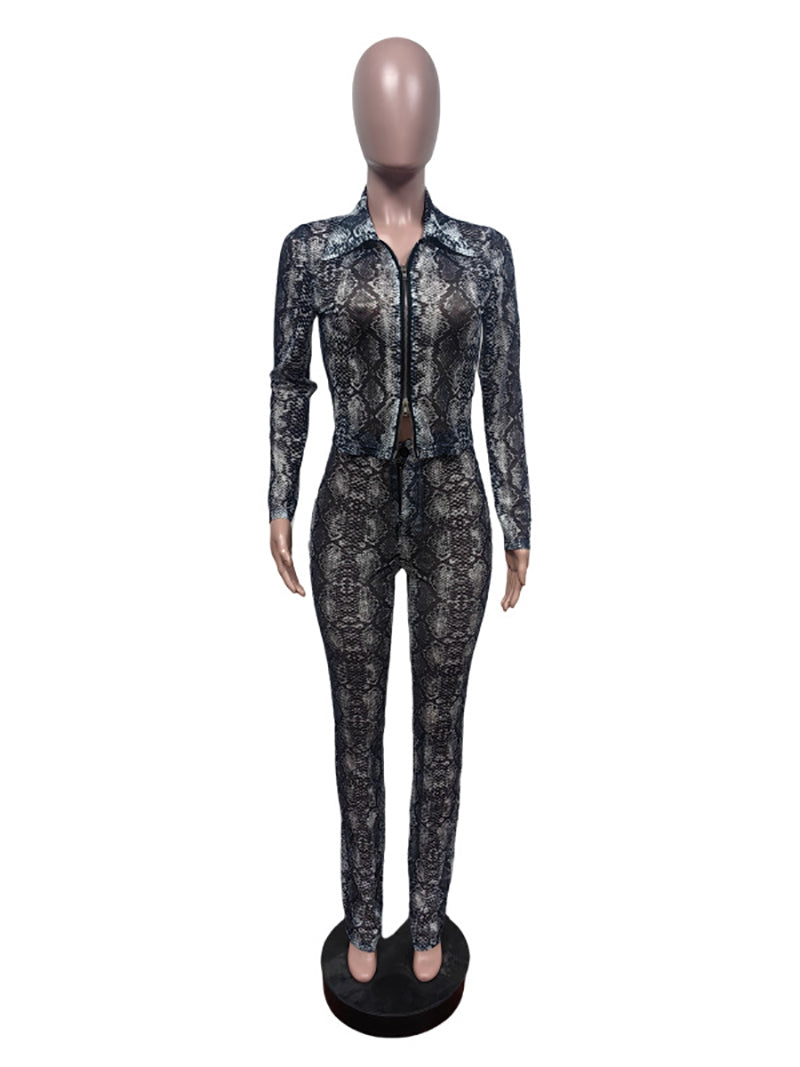 Sexy Print Mesh Sheer Top Elastic Pants Two Piece Set